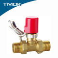 equal shape cw617 material brass Electric male thread stop valve with plastic cap and solenoid